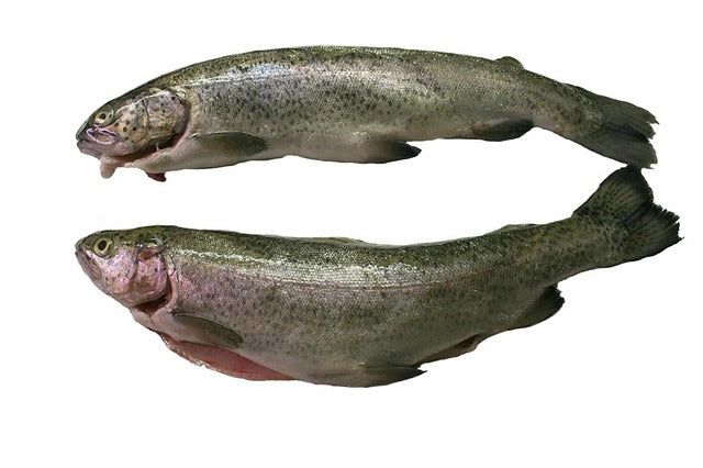 Pstruh chlazený  2 ks cca 600g