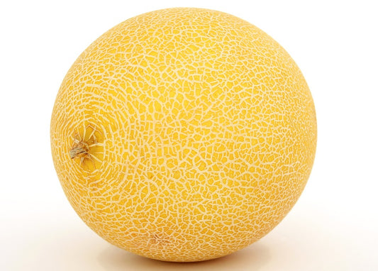 Meloun Galia cca 800g 1ks
